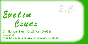 evelin csucs business card